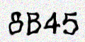 captcha code